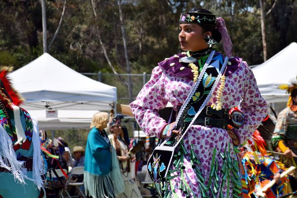 A girl in a purple jingle dress with green cones dances at a powwow