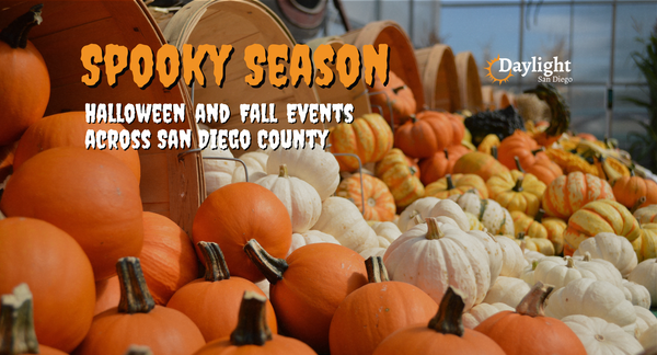 Your guide to the spookiest season: Where to find fun and frights in San Diego