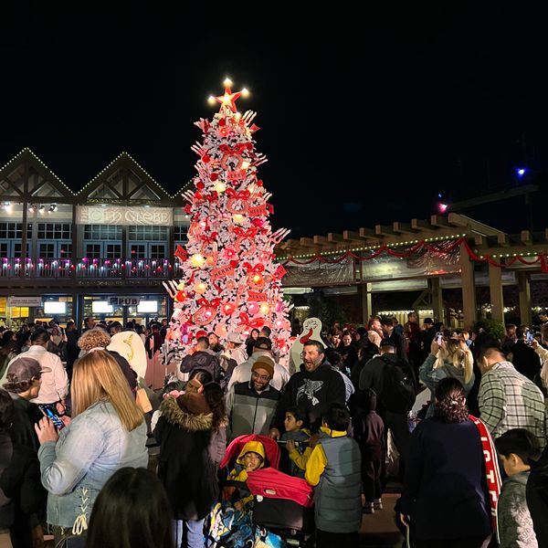 Picture of a vibrant pink, red and white Christmas tree with ornate decorations and a crowd of people standing around it outside.