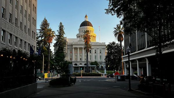Picture of a state capitol building framed between two buildings with palm trees in front of it.