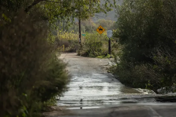 A road with water running across it and green vegetation lining both sides of it