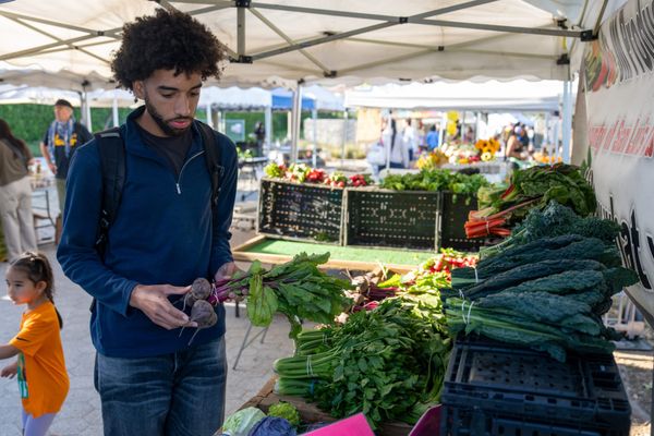 A person holds beets at a farmers market stand outside