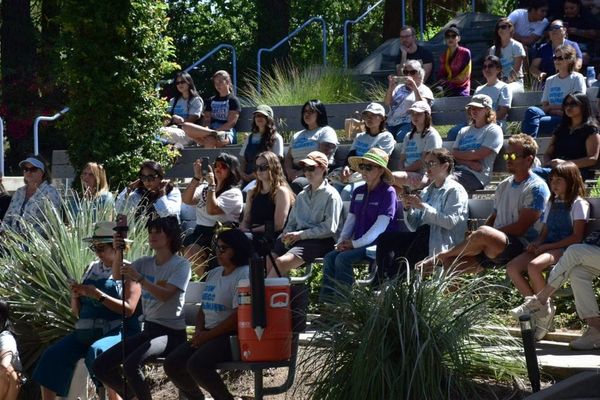 People sit on benches in rows at an outdoor amphitheater on a sunny day
