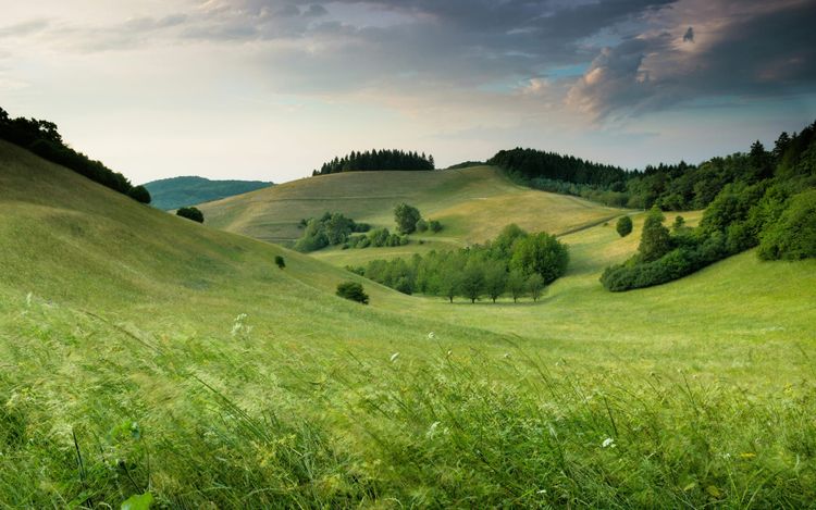 Euthymia and the Return of Proportion