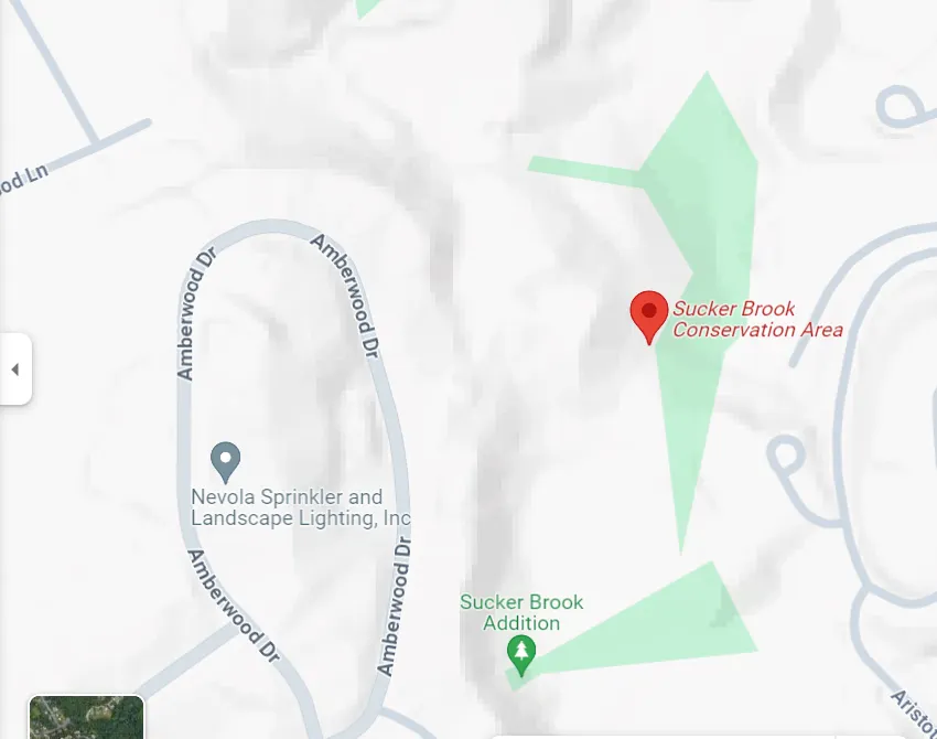 Girl Scouts earn Silver Award at Sucker Brook Conservation Area