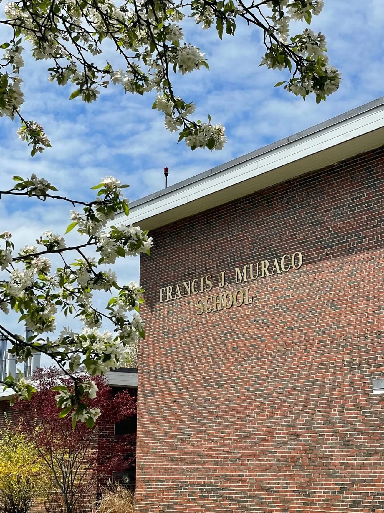 Sneaker collection bins stolen