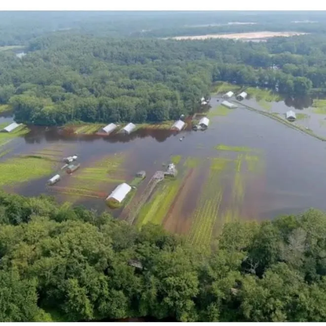 Funds Established to Assist Flooded Farms