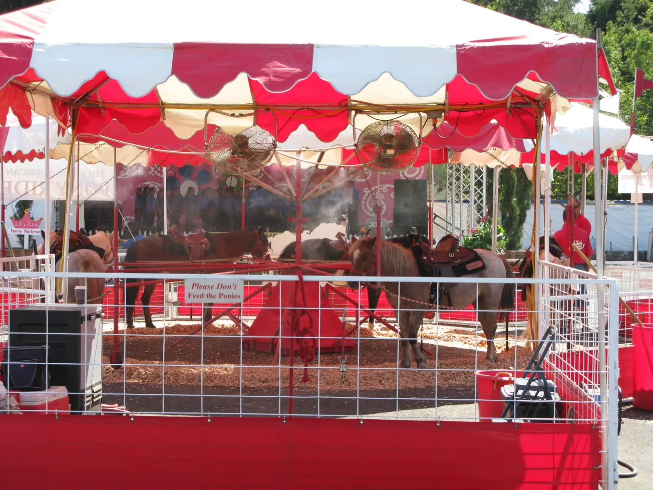 Pony rides on Winchester Common