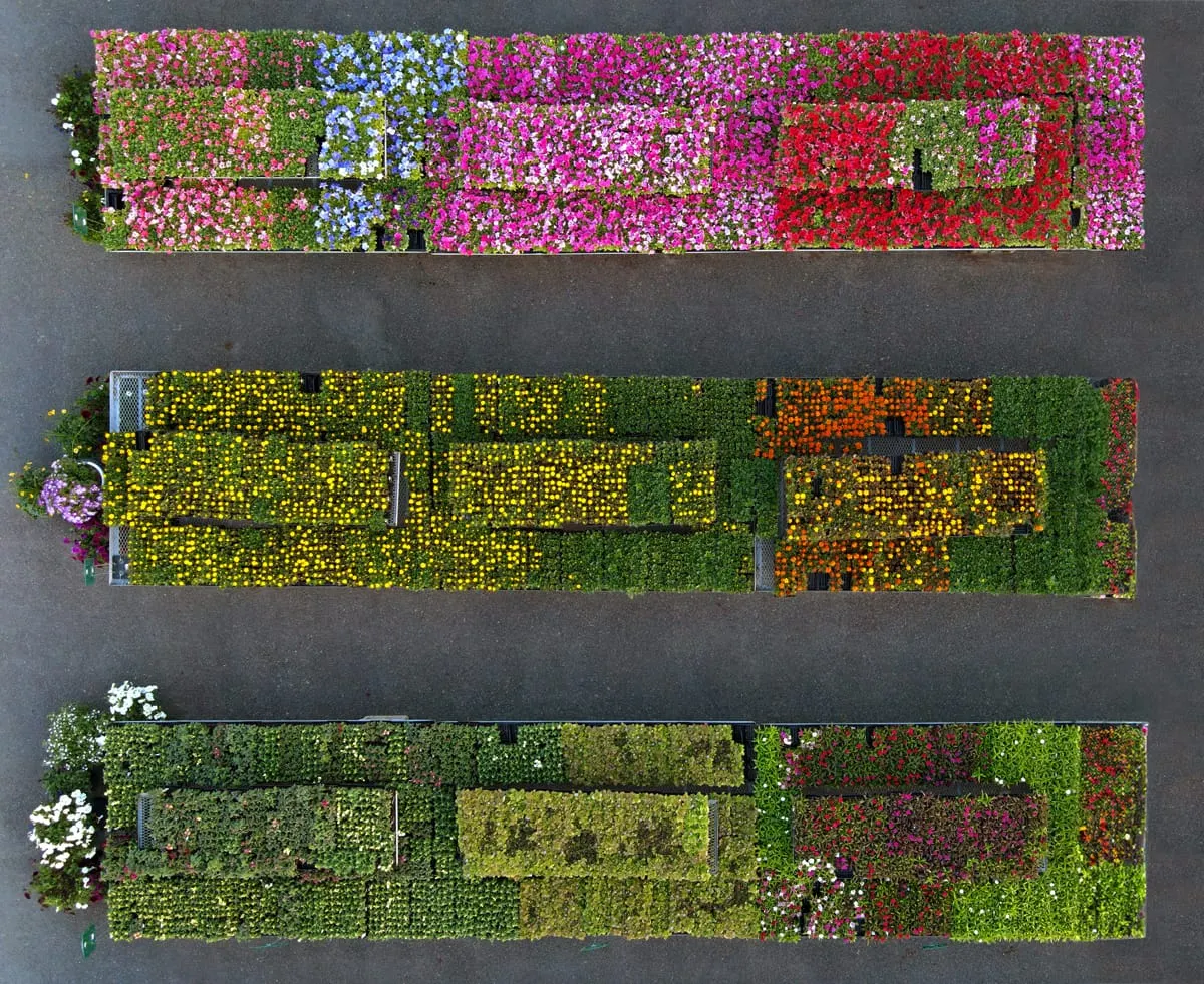 Frank Siteman reception Thursday