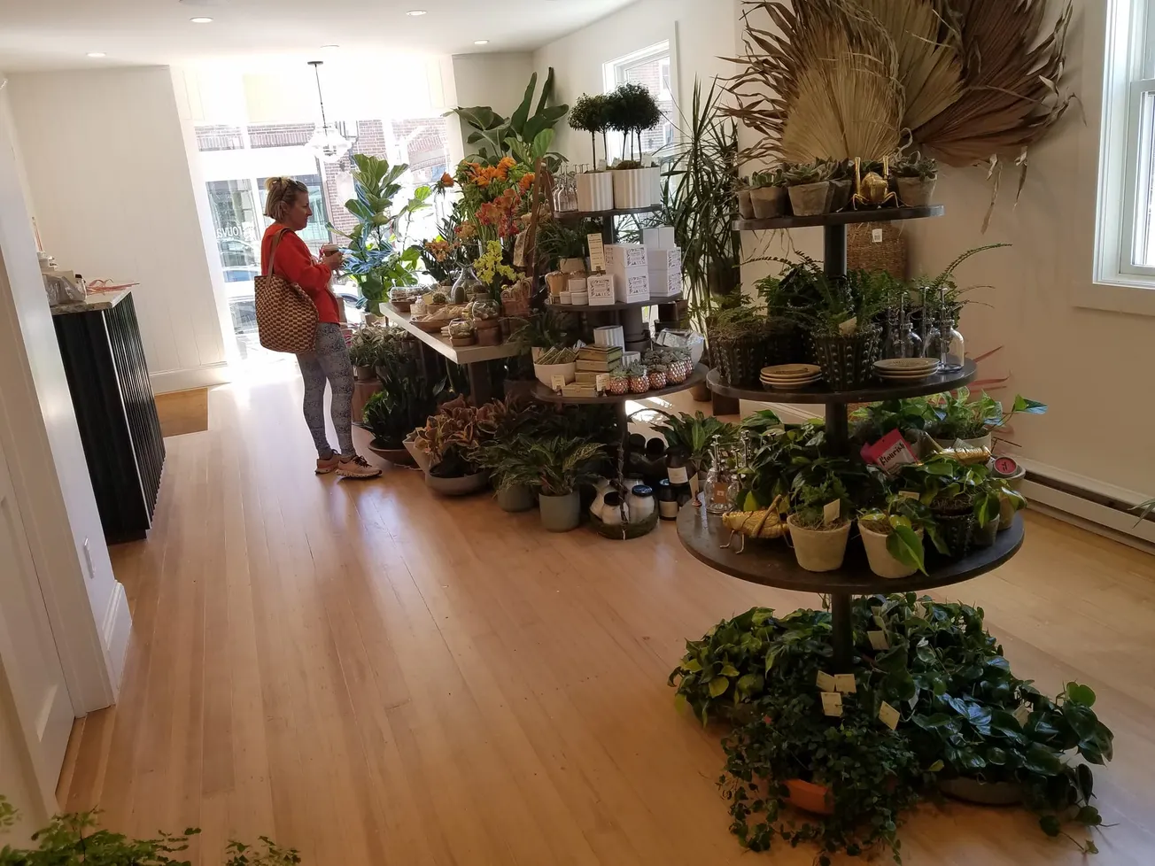 Rouvalis Flowers opens doors at new Thompson Street location