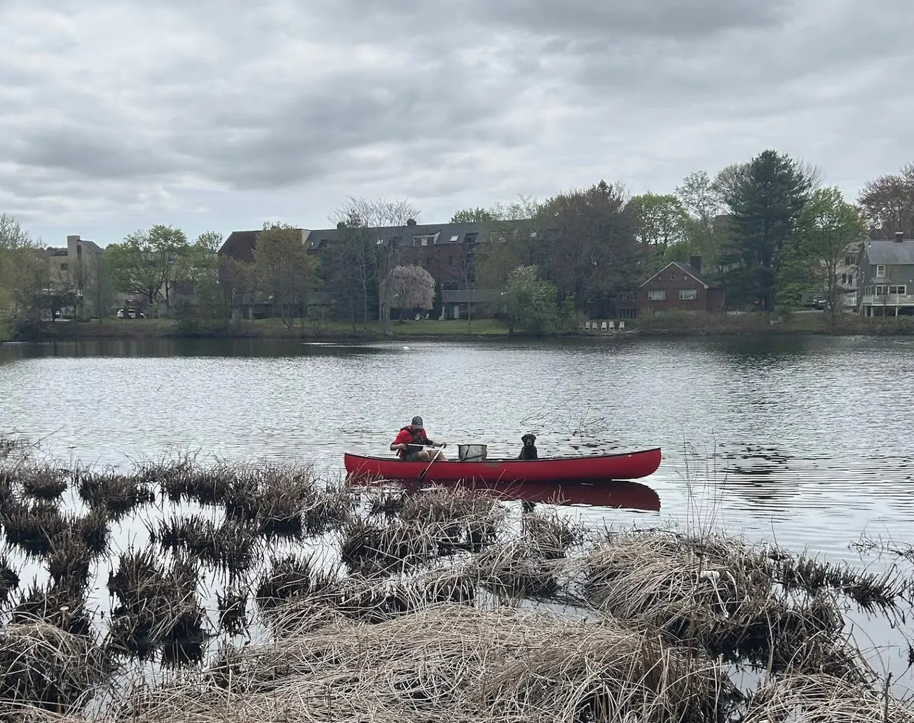 Winchester turns out for Abjerjona River Clean Up