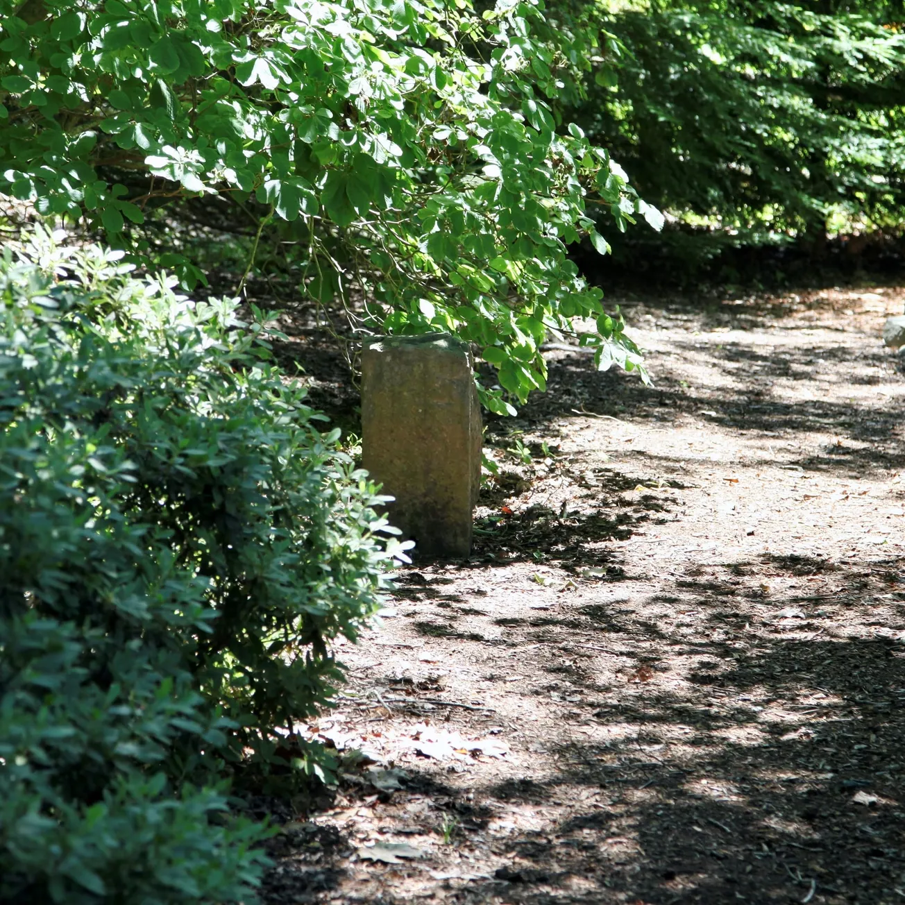 Art and structure in the garden