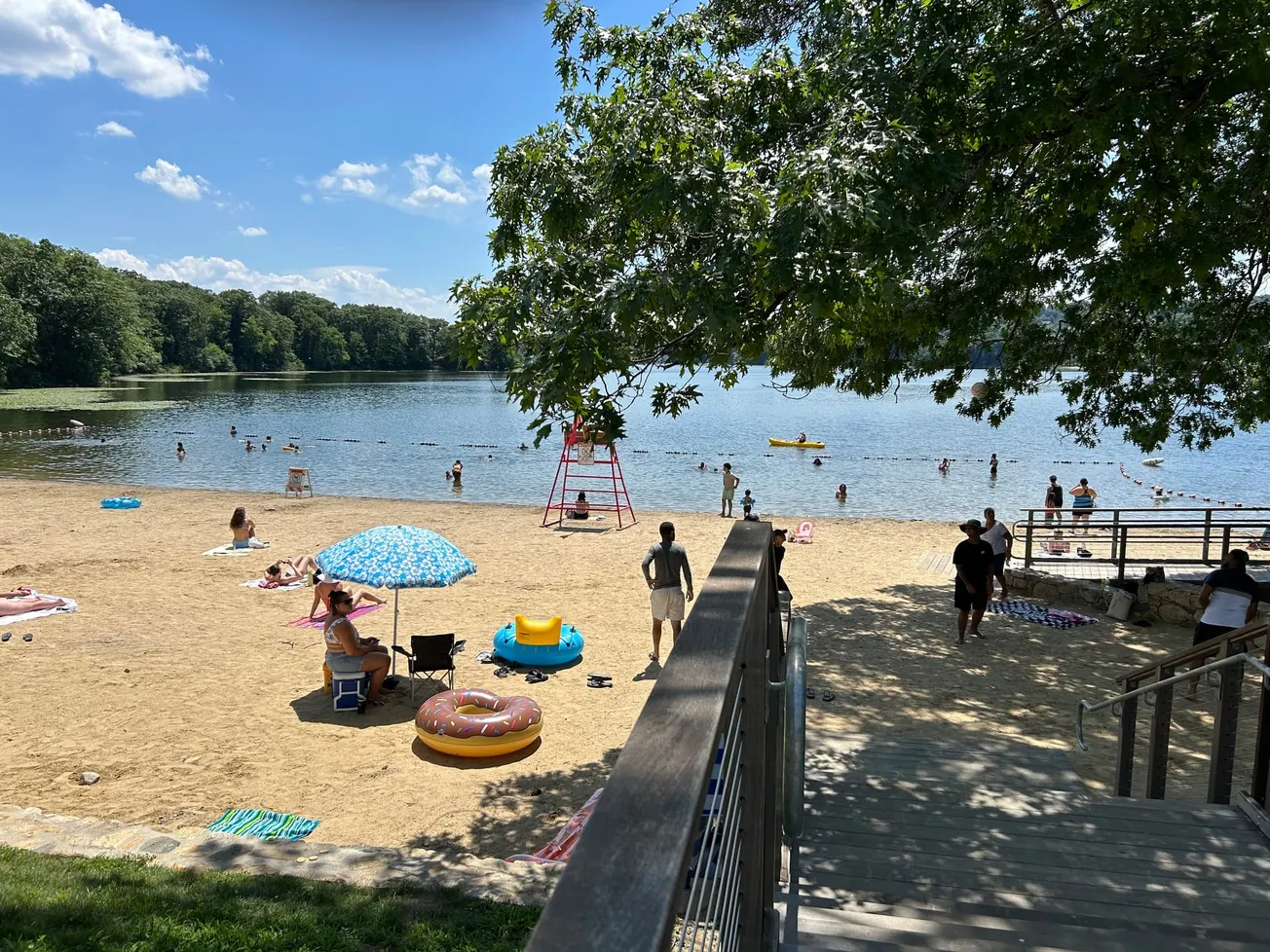 Swimming at Shannon Beach could cause illness