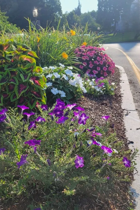 Adopt-an-Island program is thriving in Winchester