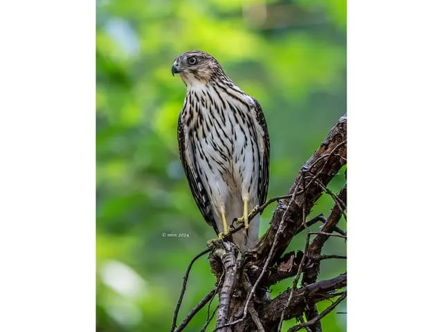 More photos from the Fells