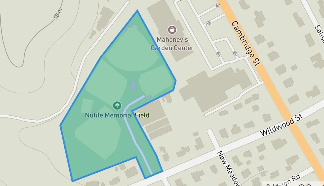 Proposed improvement plan for Nutile Field to be unveiled