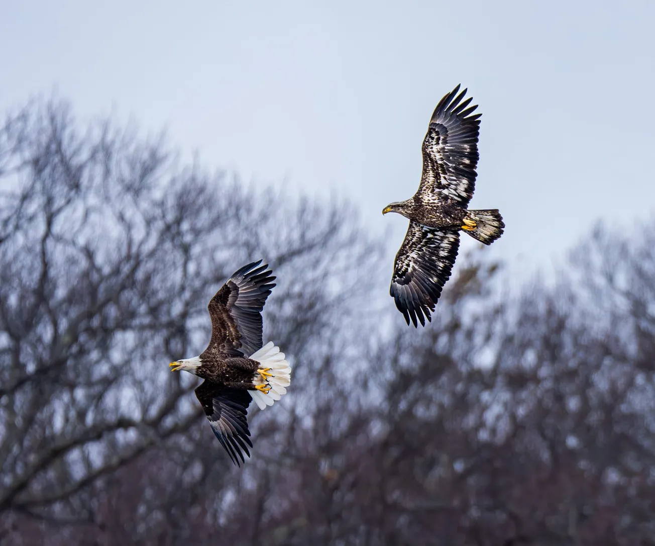 More photos from the Fells