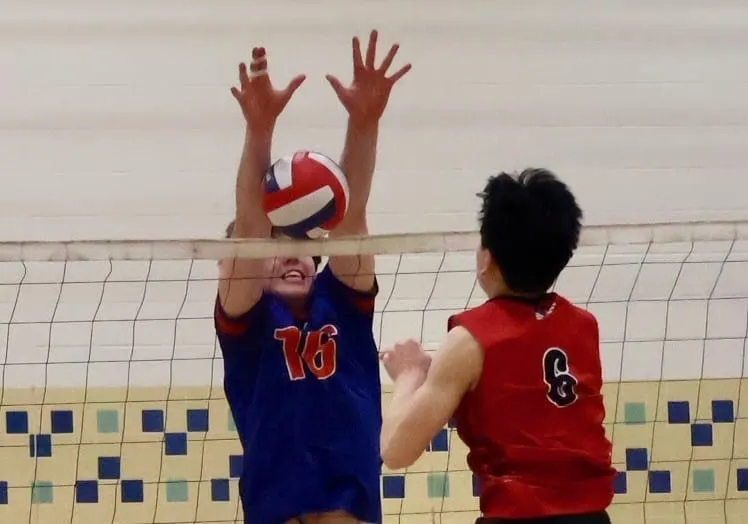 Winchester spring sports teams complete regular season with most going to the postseason