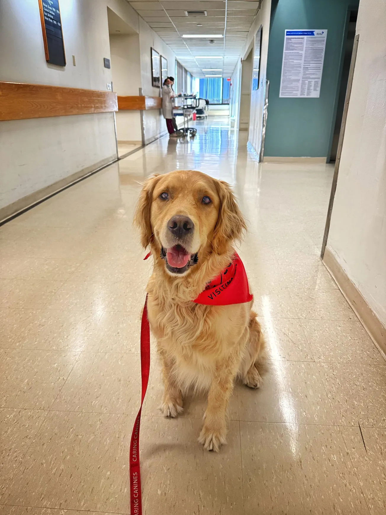 Helpers Among Us - Frank and Lyra bring the therapy to you