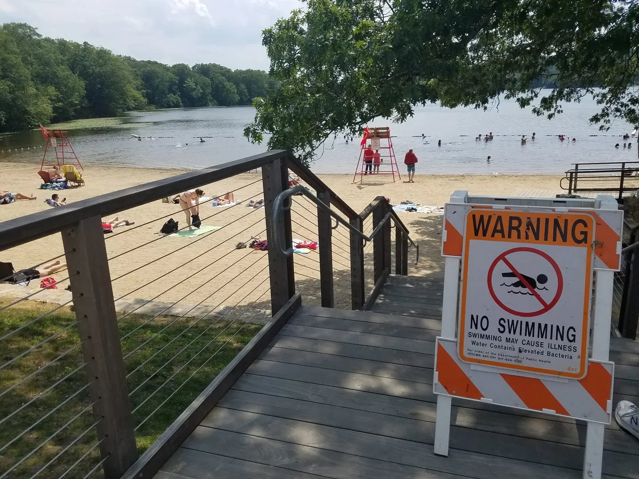 Shannon Beach in Winchester closed to swimmers due to high bacterial count