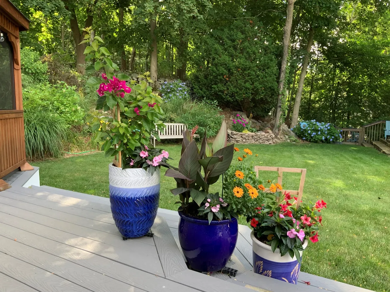 What’s in your gardens this month