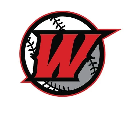 Winchester Youth Baseball 12U all-stars drop heartbreaker to Milton in EMass state finals