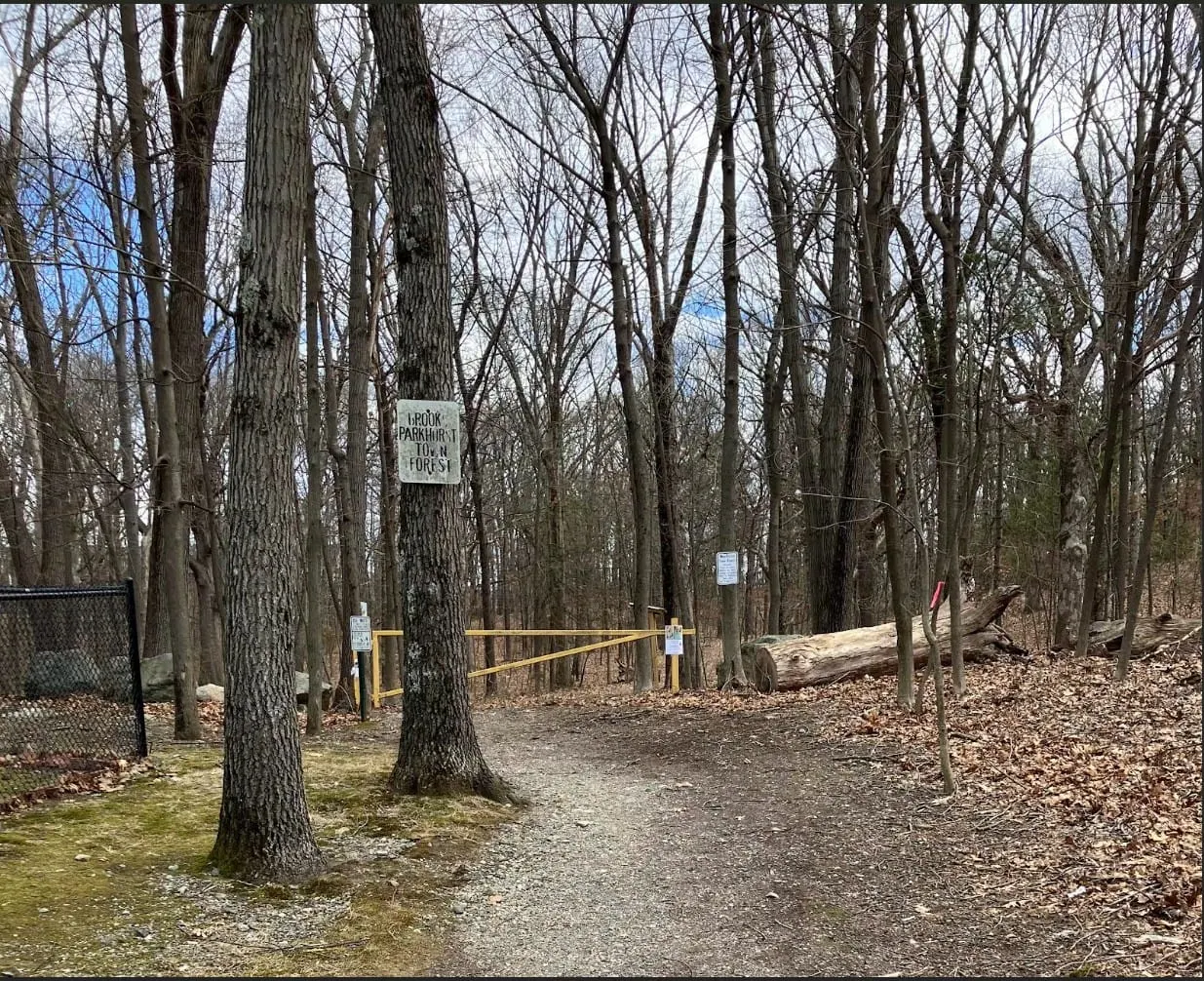 Winchester targets fire, heat, drought as its resilience priority