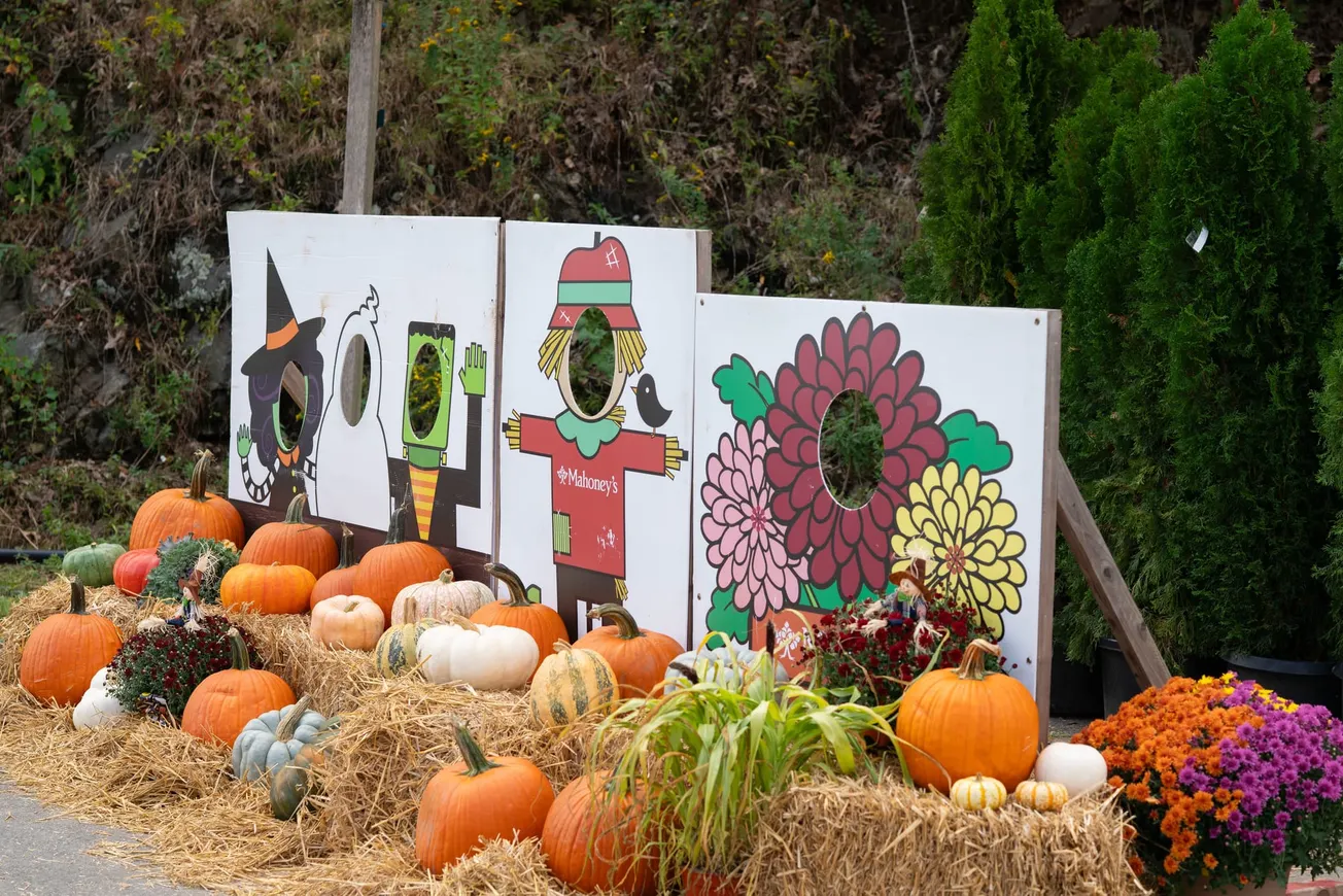 5 things to do in Winchester this Halloween season