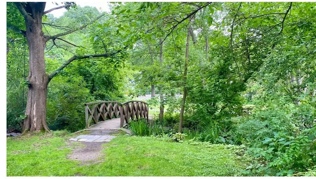 Winchester receives update on Davidson Park Stream Restoration project