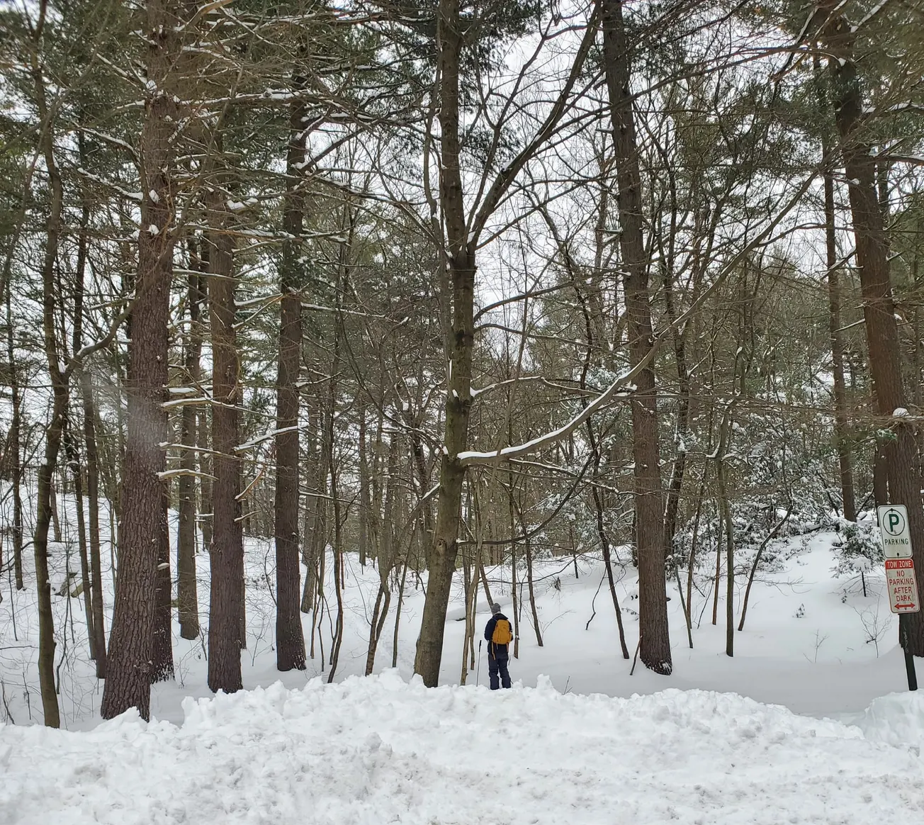 Winchester residents share snow day photos