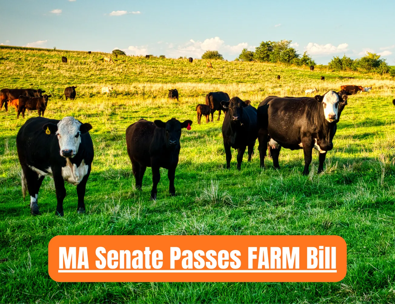 Sen. Jason Lewis, Senate support local agriculture through FARM Bill