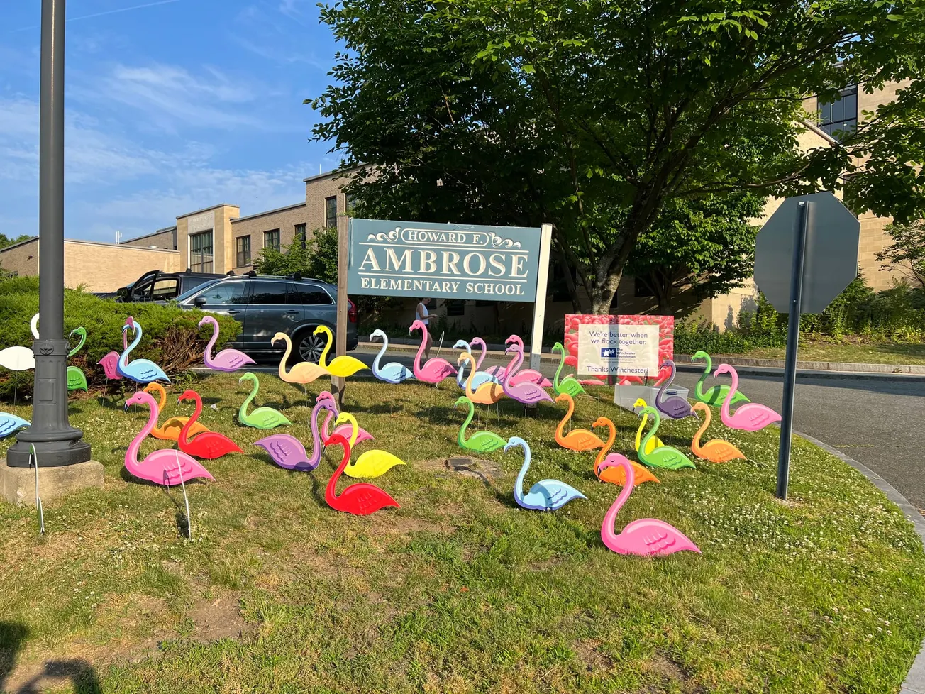 It’s time to flock the schools with annual teacher celebration flamingos for WFEE!