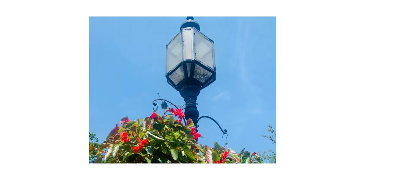 Winchester Chamber of Commerce looks for donations to reach goal for flower baskets