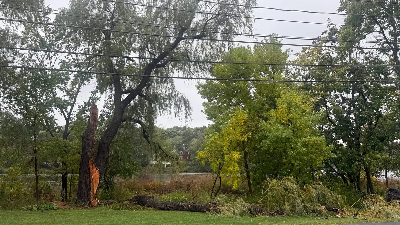 Nor'easter spares Winchester flooding but leaves trees down