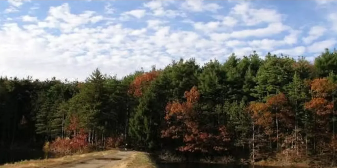 Jenks hosts ‘Walls, Rock & Rum: The Colonial History of the Middlesex Fells’ with historians Alison Simcox, Douglas Heath