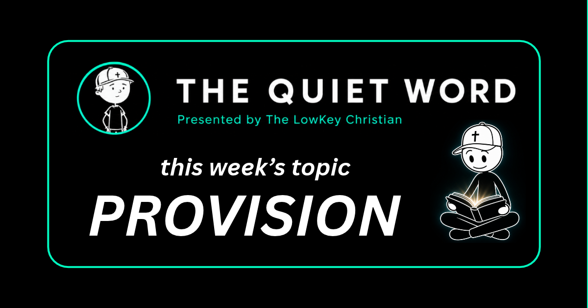 Provision: The Birds On The Wire