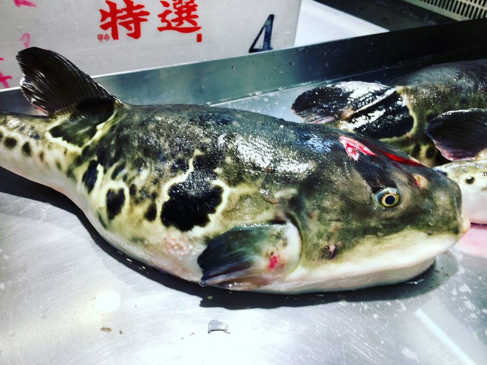 Death By Fugu