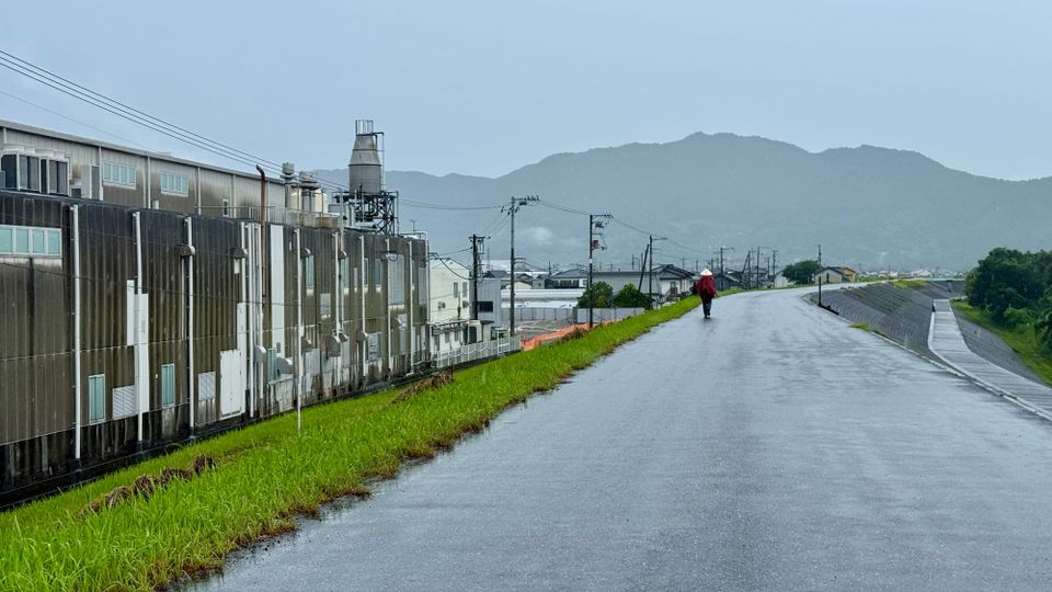 The Fellowship of the Henro
