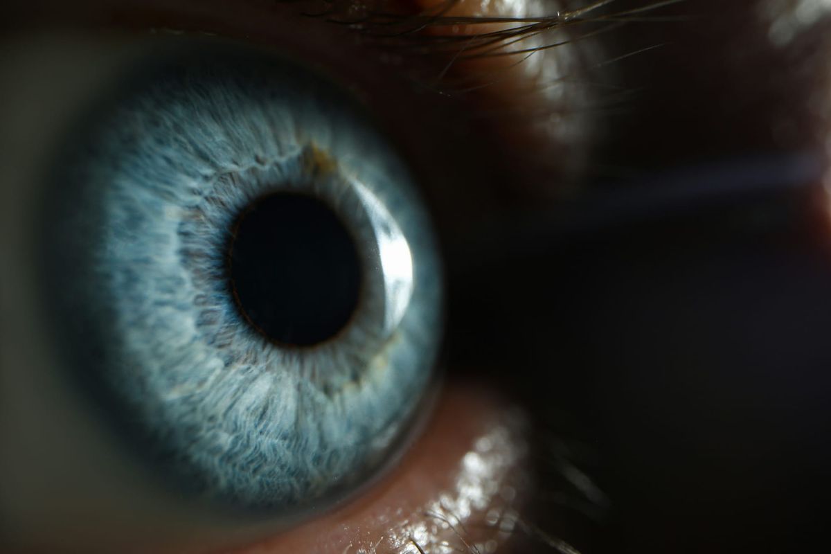 Who owns your data?
