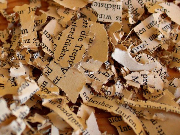 Scraps of torn-up text