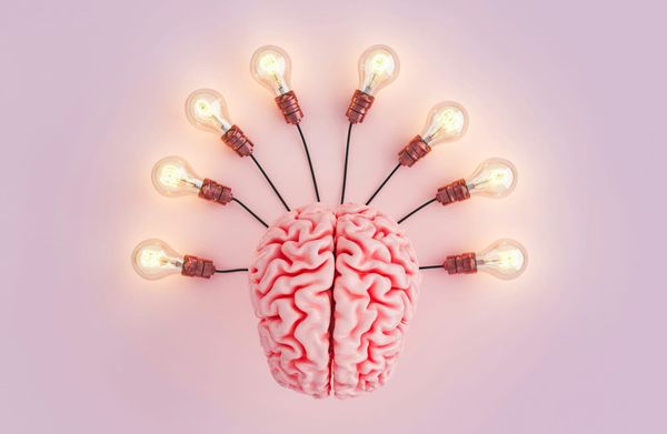 Hey, it's a brain connected to some lightbulbs.