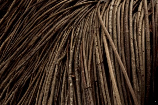 Sticks, innit