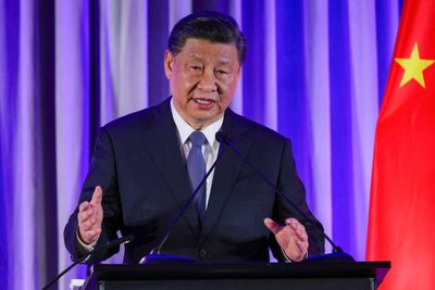 #ShannonBrandao,                     The #ChinaBoss: Musk-Xi Meeting Shows Tight Relationship China Has With Tesla