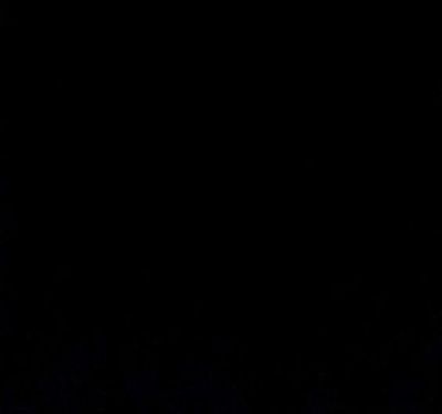 #WoldNetDaily: N.Y. Muslim Rant: Islam Will Invade Every Home, Is Only 'Correct Religion'