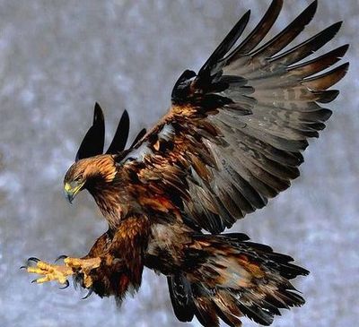 Good Morning From Creighton's- on Friday, November 10, 2023