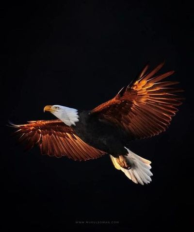 Good Morning- From Creighton's, On Thursday, November 30, 2023