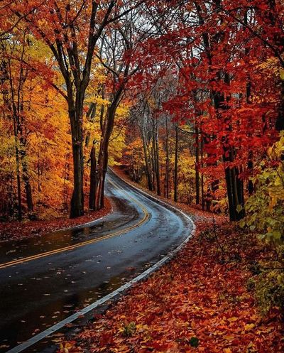Driving Roads Like This: Exhilarating; Calming, All At The Same Time...