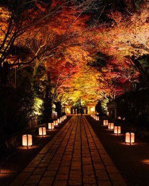 Calm, Directive, Focus...