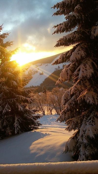 ...Great Morning!