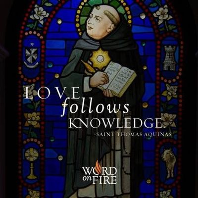 St. Thomas Aquinas (1225-1274) , Doctor Of The Church